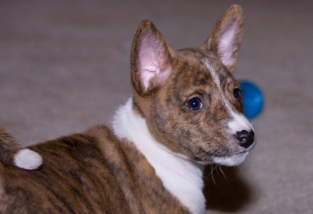 Woody at Rest (Week 9)